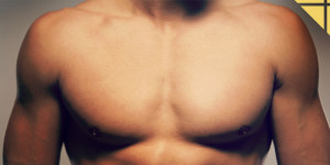 exercices pectoraux muscu
