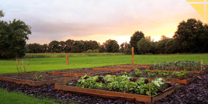 potager alimentation naturelle